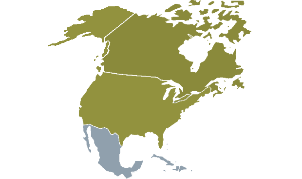 Click Map North America